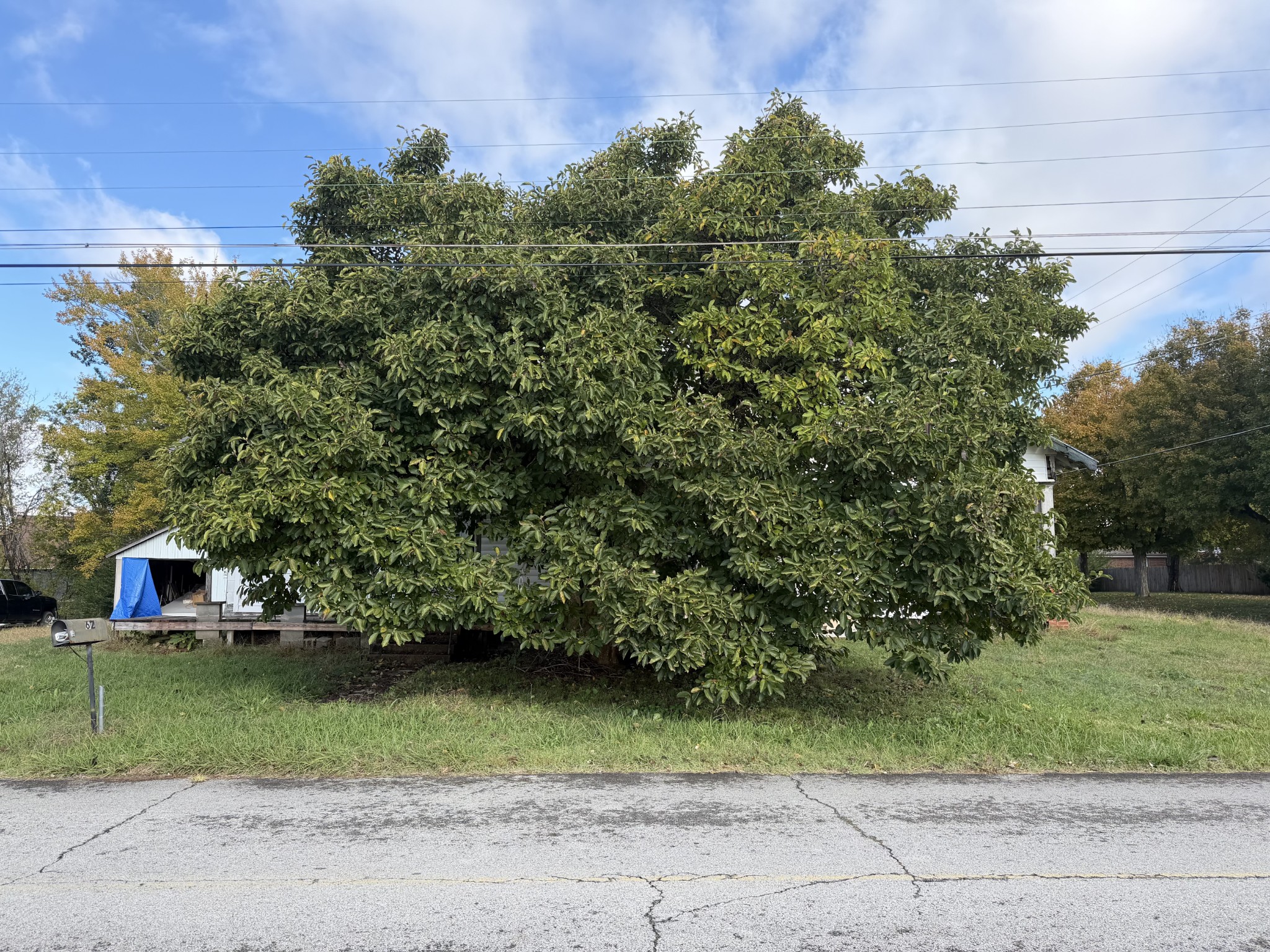 62 High St, E Property Photo 3