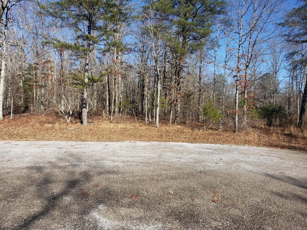 44 Hemlock Ln Property Photo 1