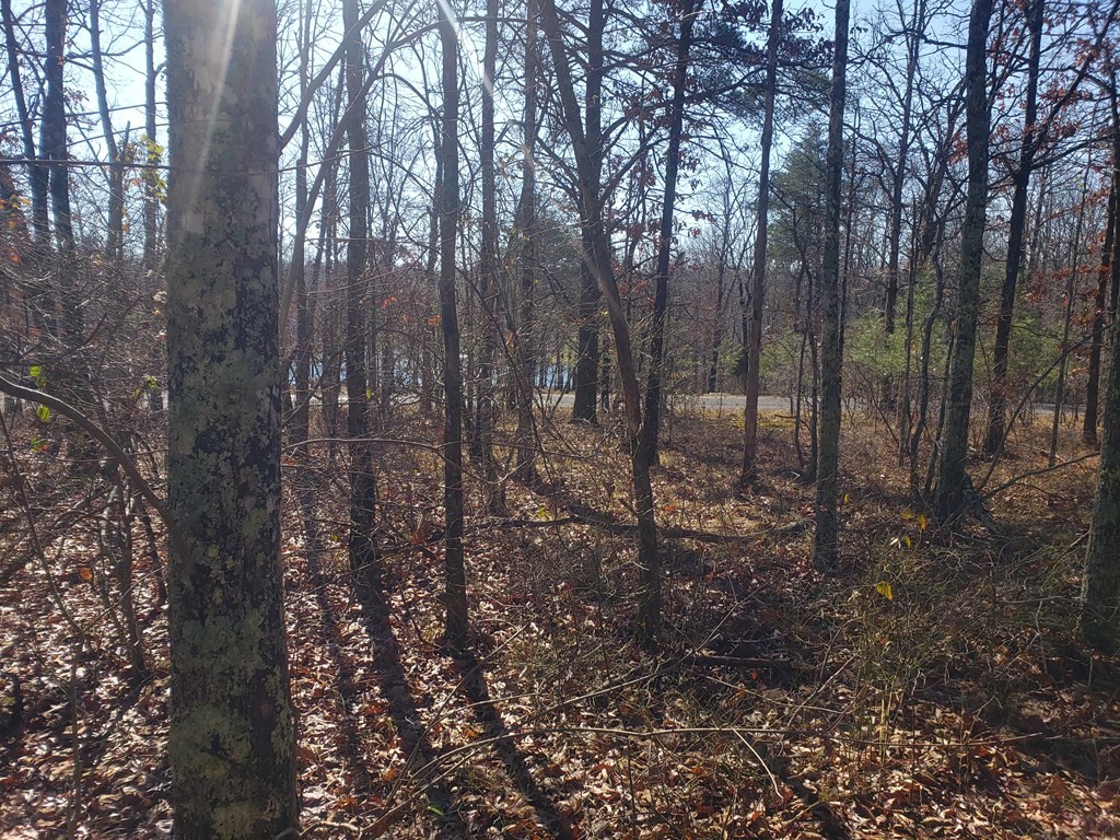 44 Hemlock Ln Property Photo 2