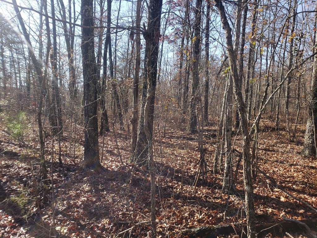 44 Hemlock Ln Property Photo 3
