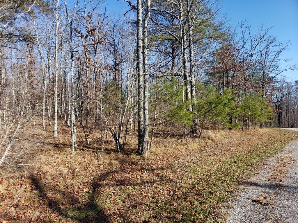 44 Hemlock Ln Property Photo 5