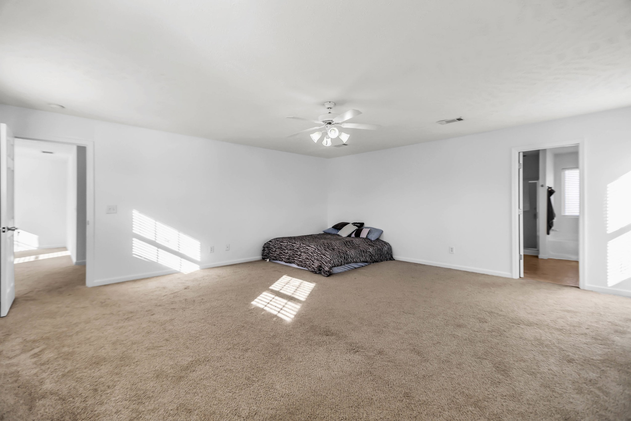 3404 Whitebud Ln Property Photo 36