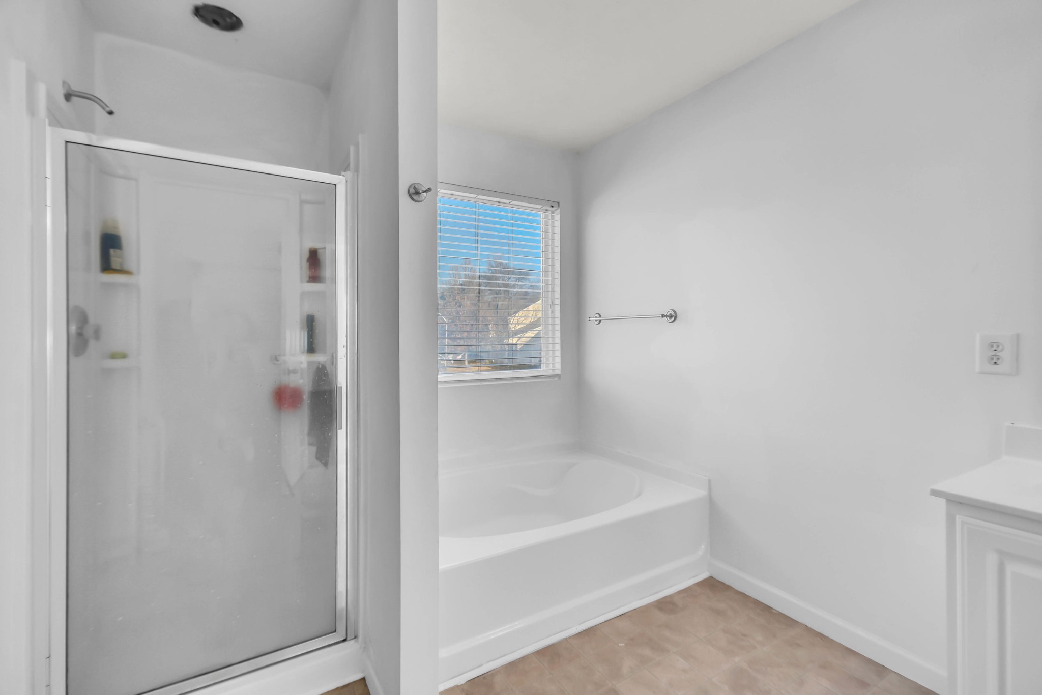 3404 Whitebud Ln Property Photo 42