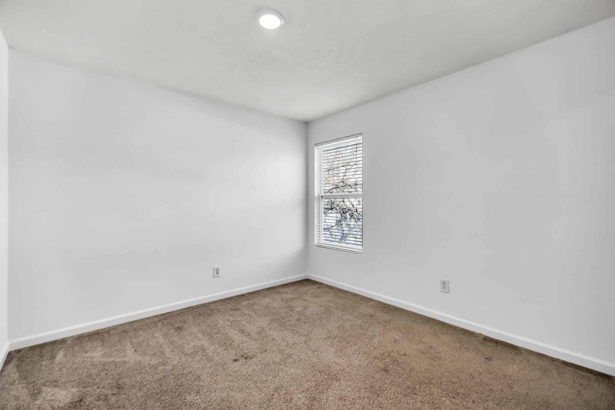 3404 Whitebud Ln Property Photo 49