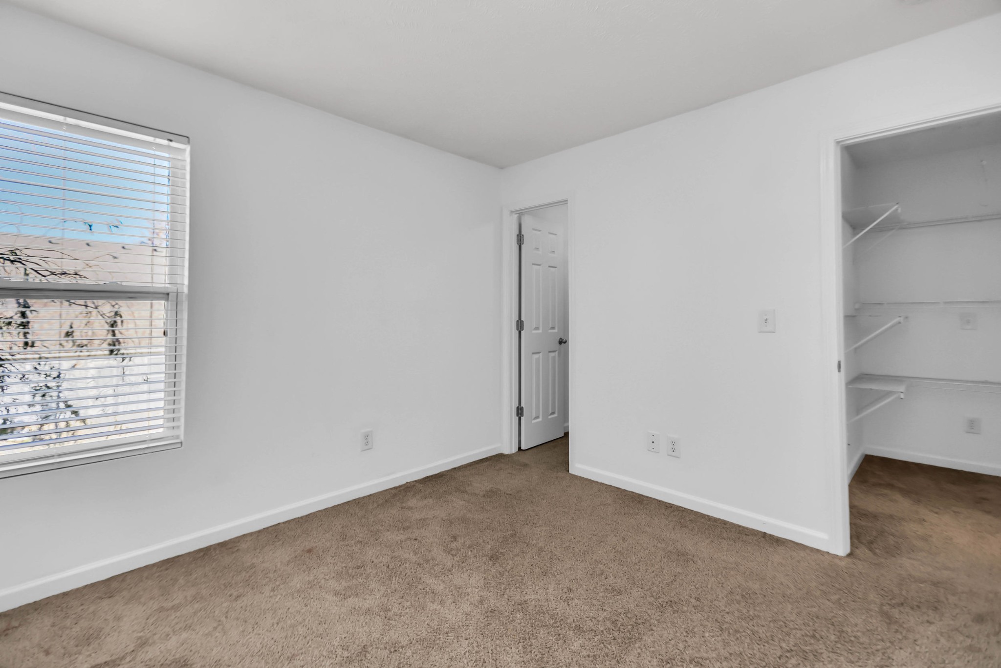 3404 Whitebud Ln Property Photo 50