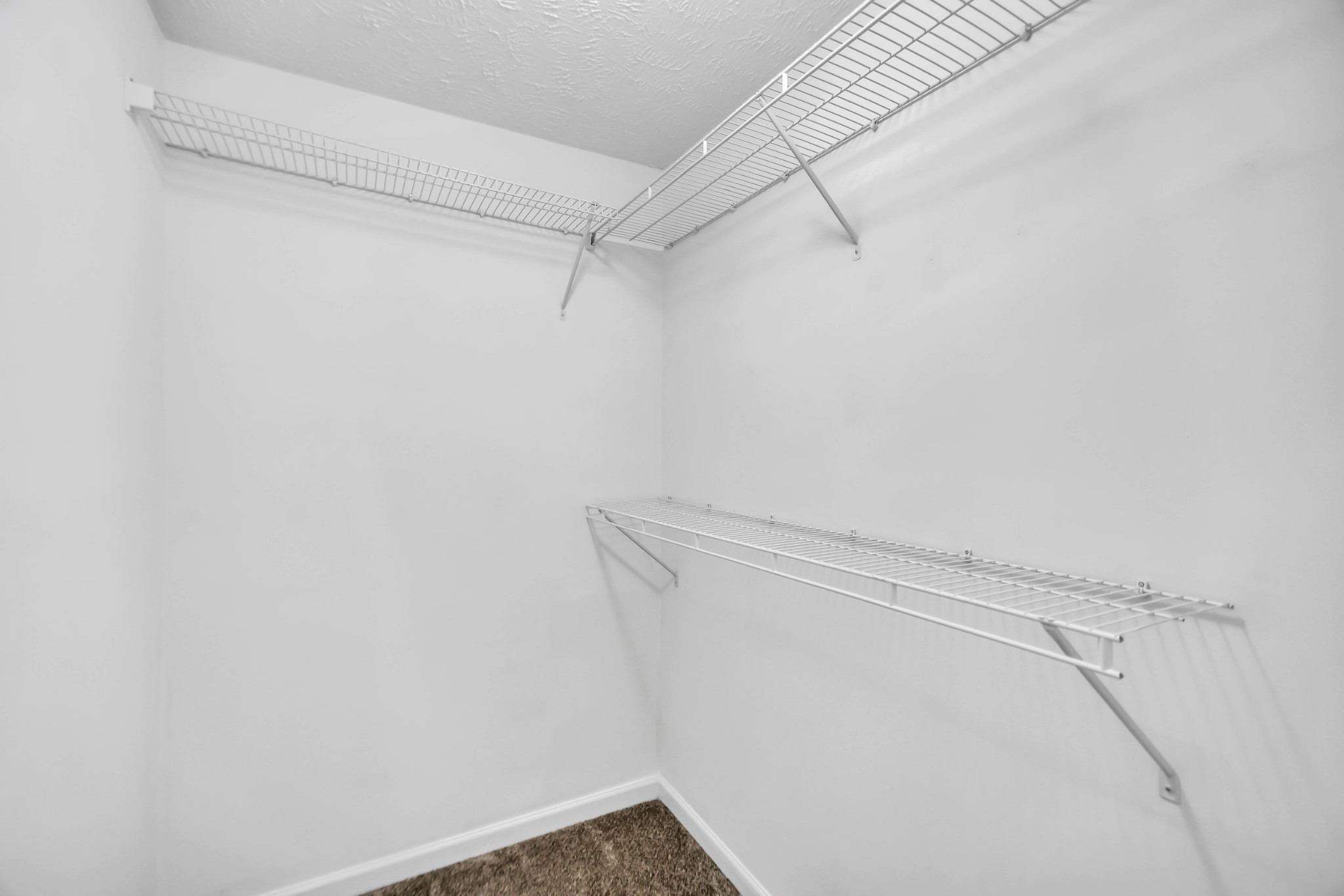 3404 Whitebud Ln Property Photo 52