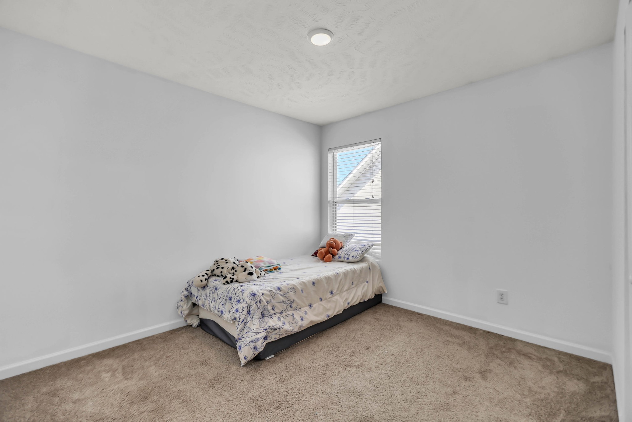 3404 Whitebud Ln Property Photo 57