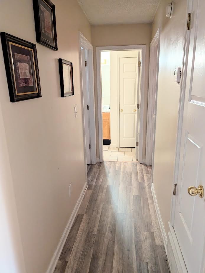 3985 Sunset Lake Cv Property Photo 4