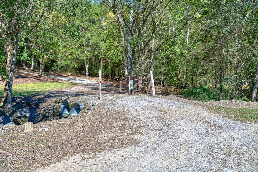 1582 Spring Fork Rd Property Photo 3
