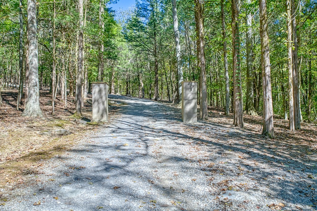 1582 Spring Fork Rd Property Photo 4