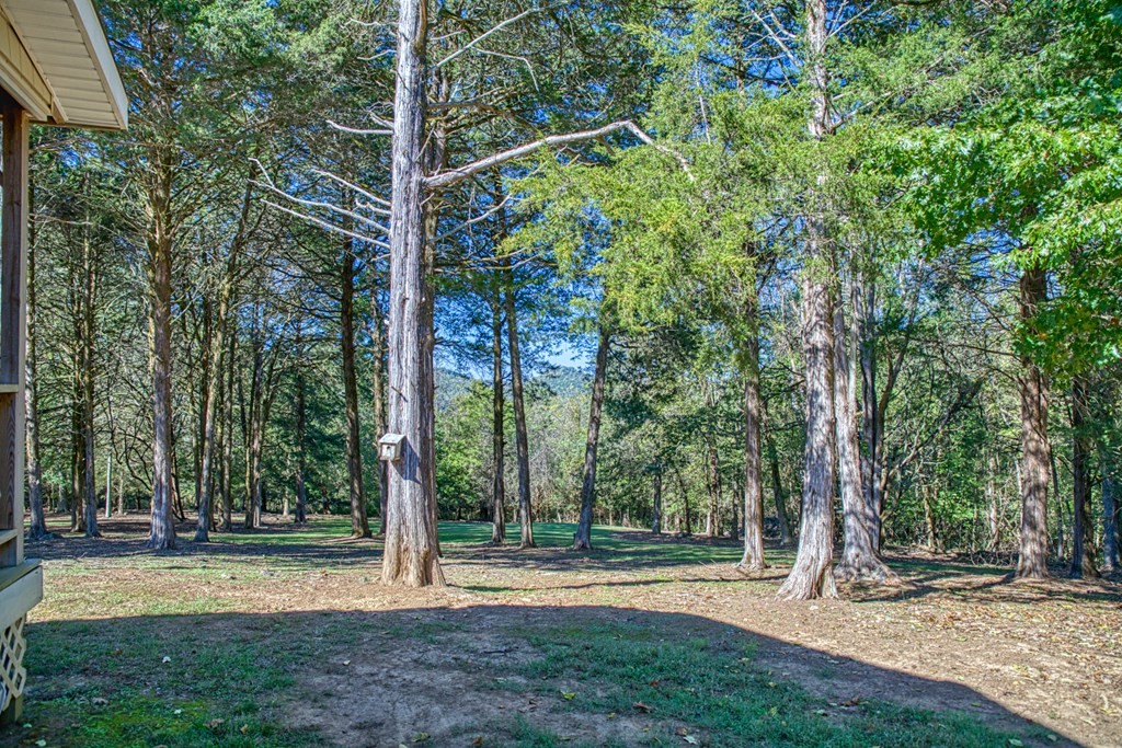 1582 Spring Fork Rd Property Photo 39
