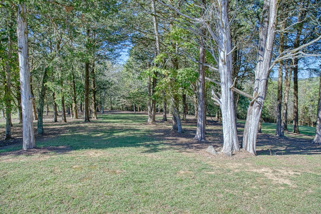 1582 Spring Fork Rd Property Photo 40