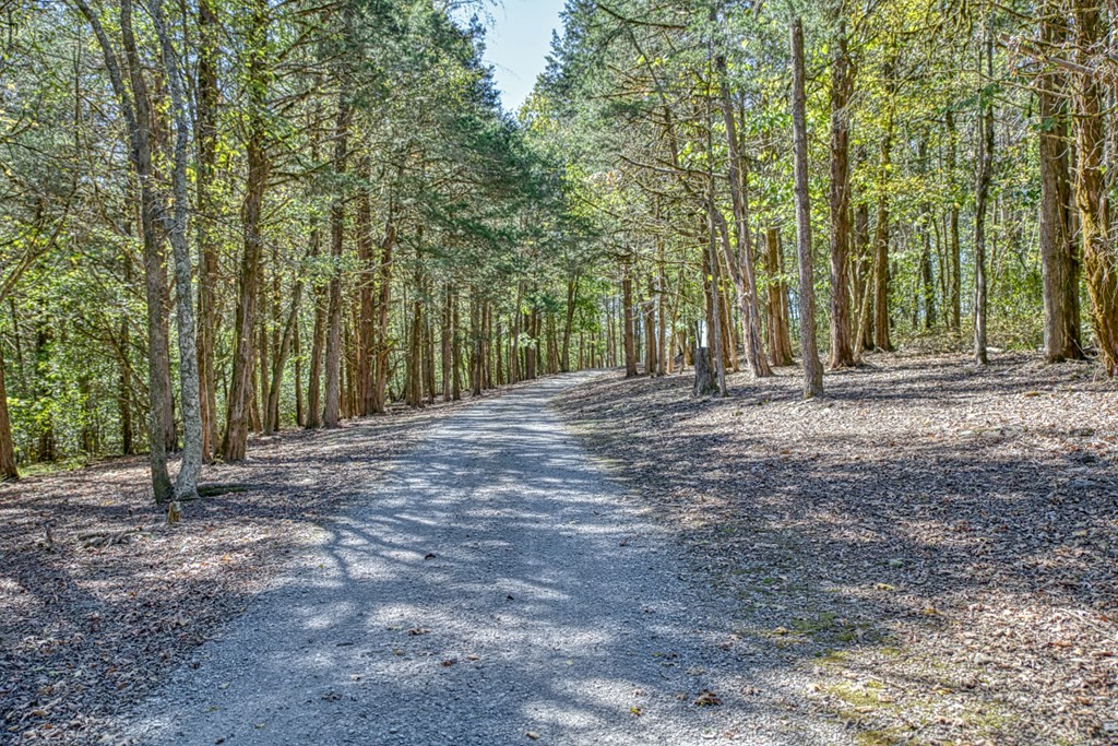 1582 Spring Fork Rd Property Photo 42