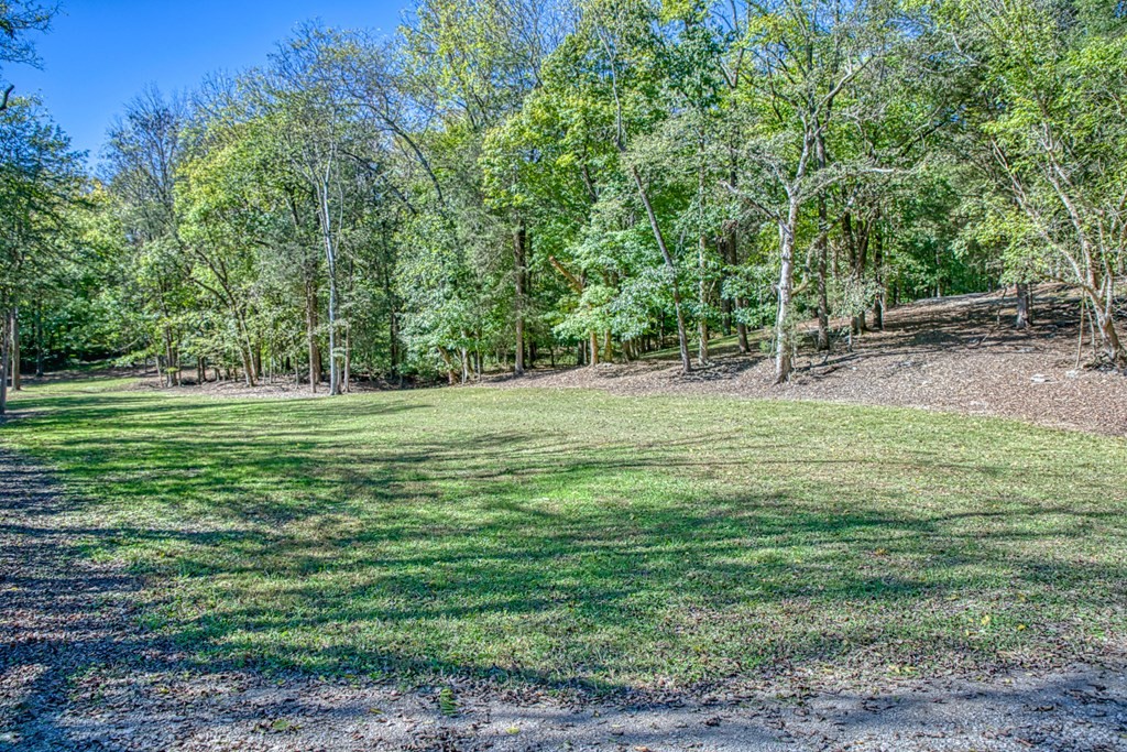 1582 Spring Fork Rd Property Photo 43