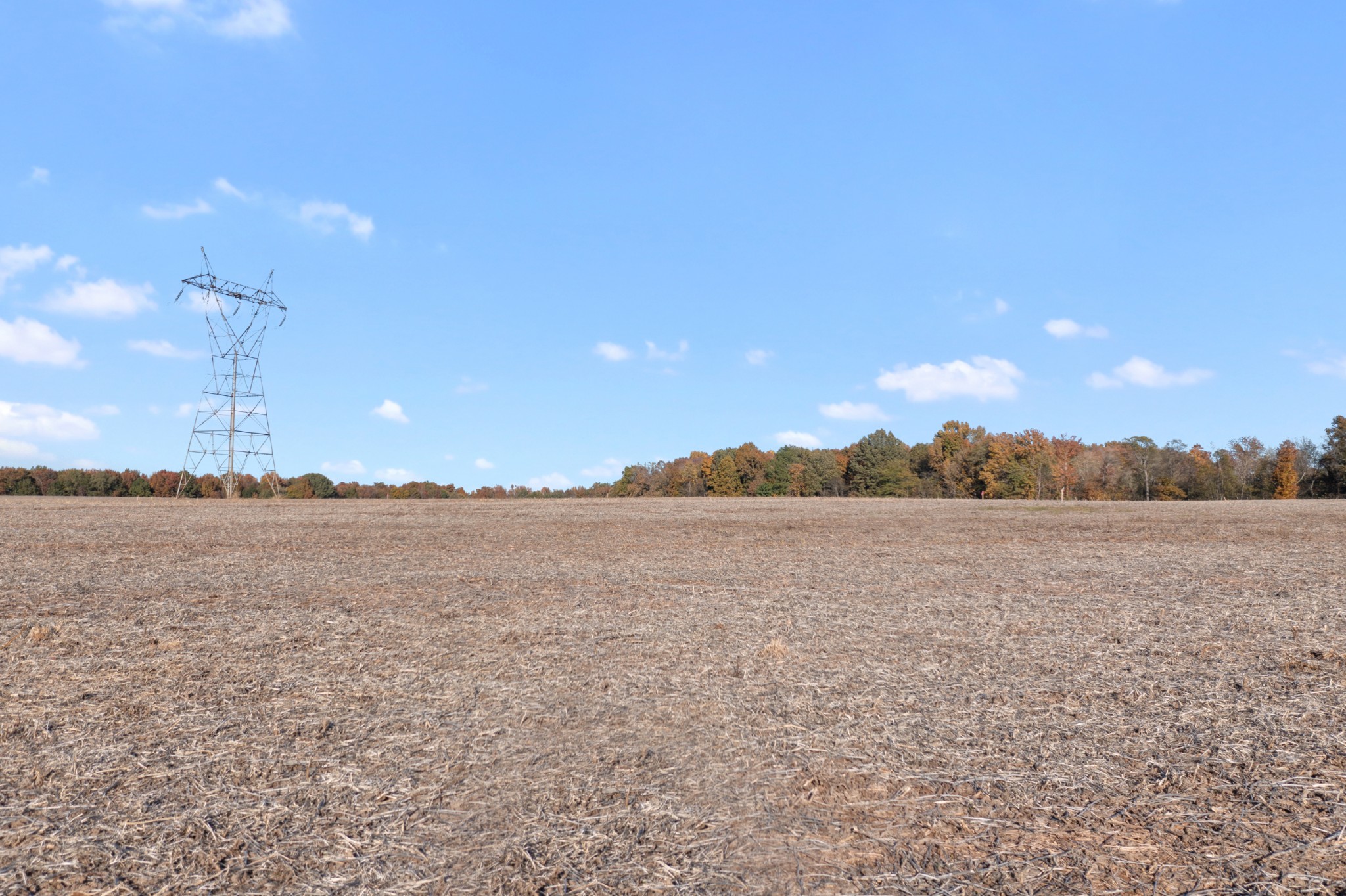 0 William Woodard Rd Property Photo 8