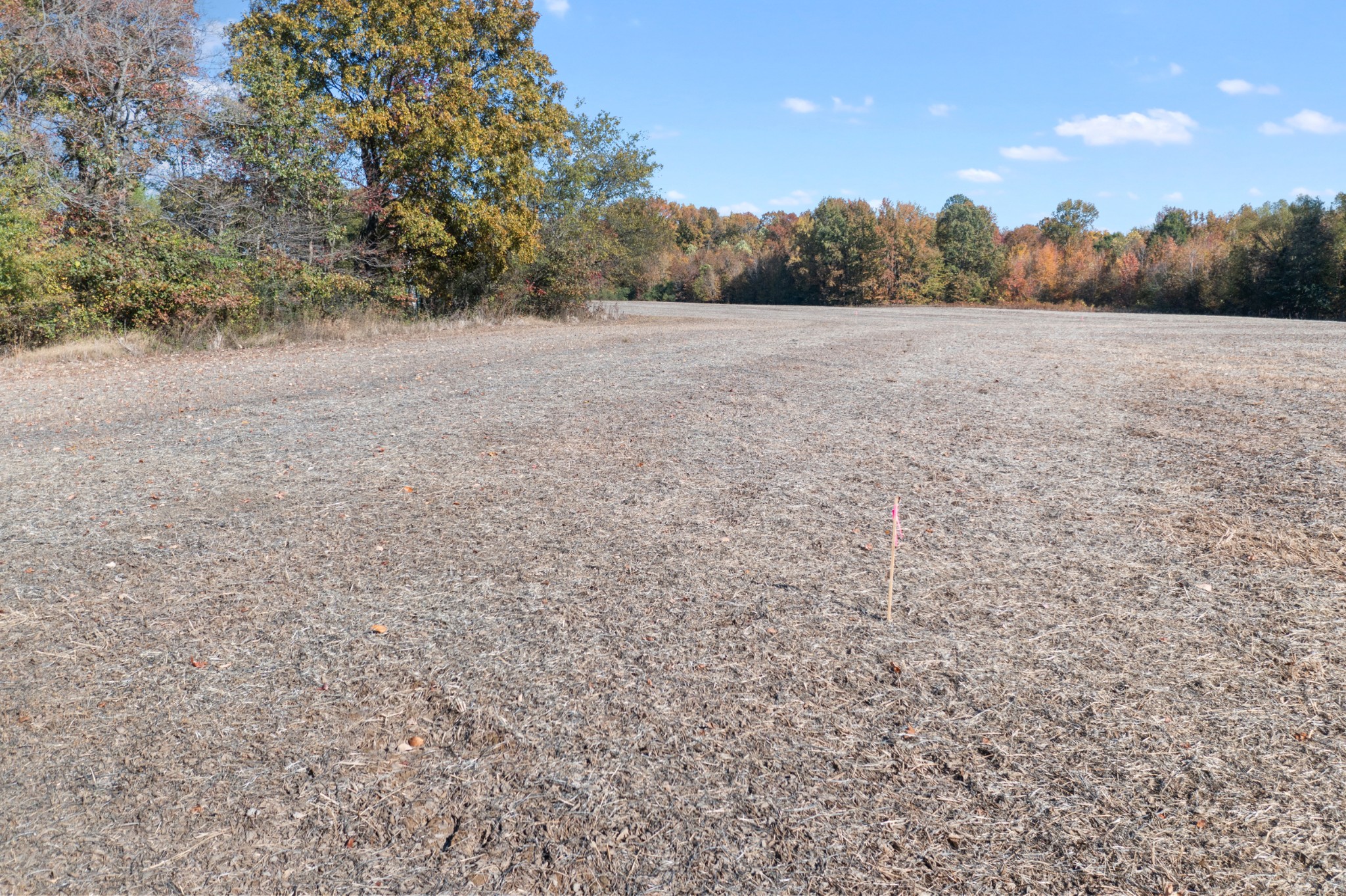 0 Hwy 431, N Property Photo 8