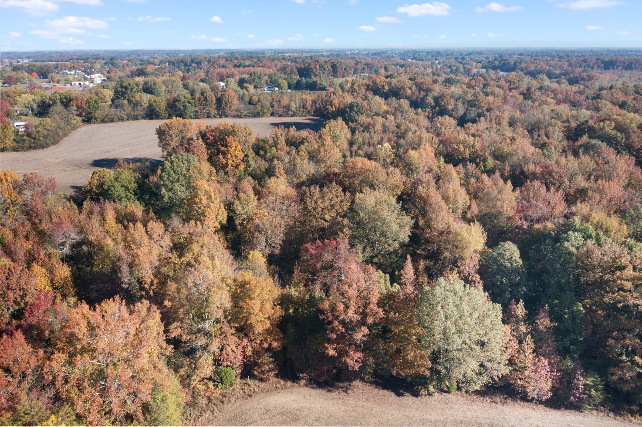 0 Hwy 431, N Property Photo 10