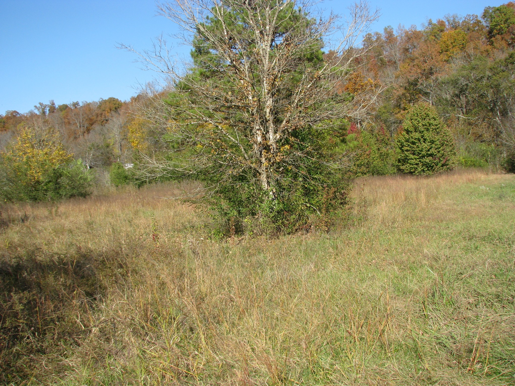 199 Spann Loop Property Photo 1