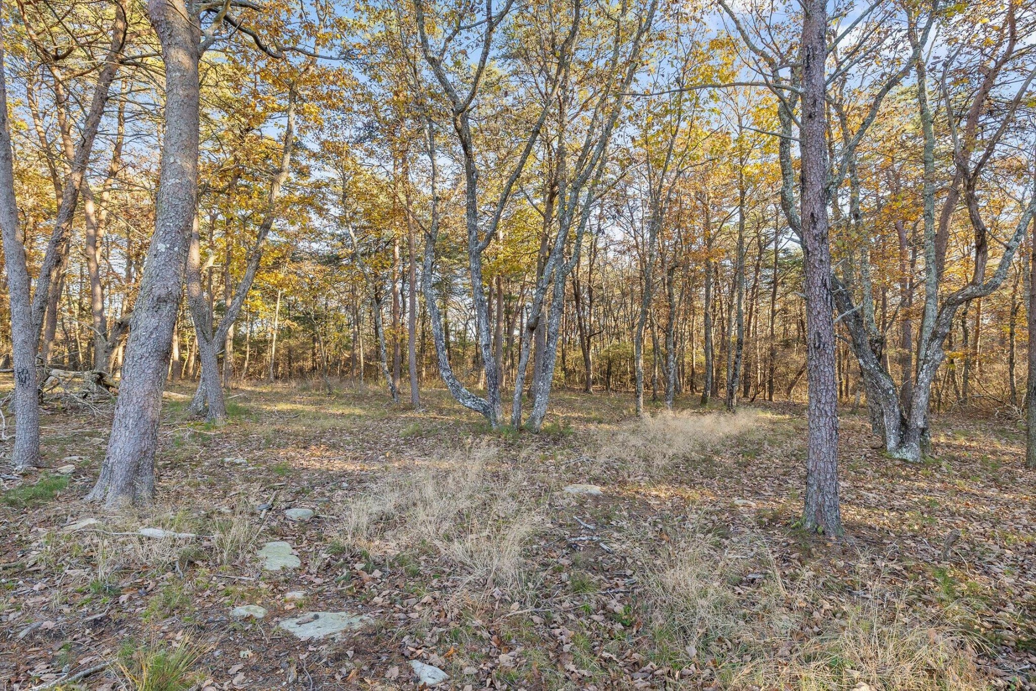 504 Wolf Run Property Photo 84