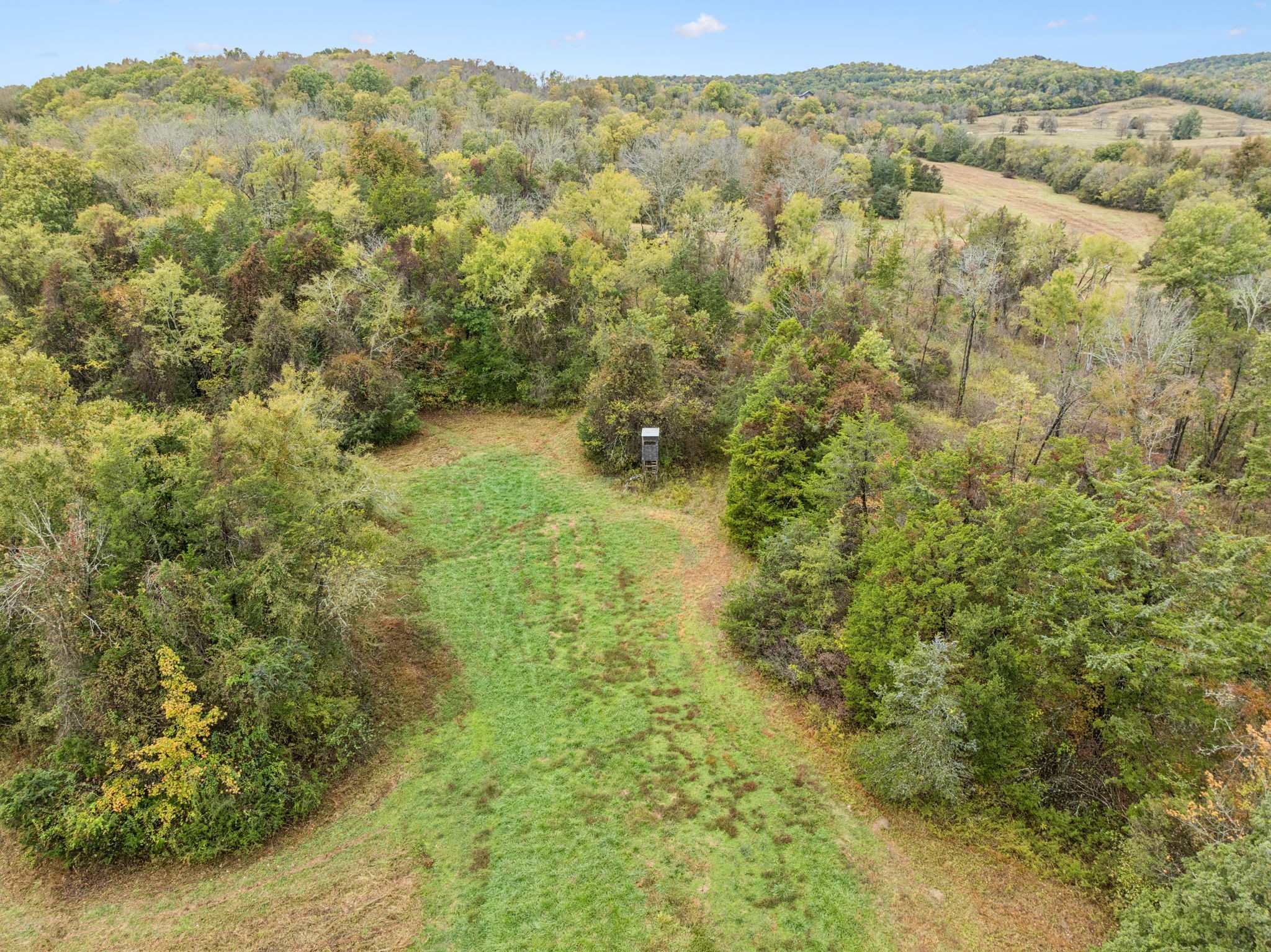 0 Coop Rd Property Photo 15