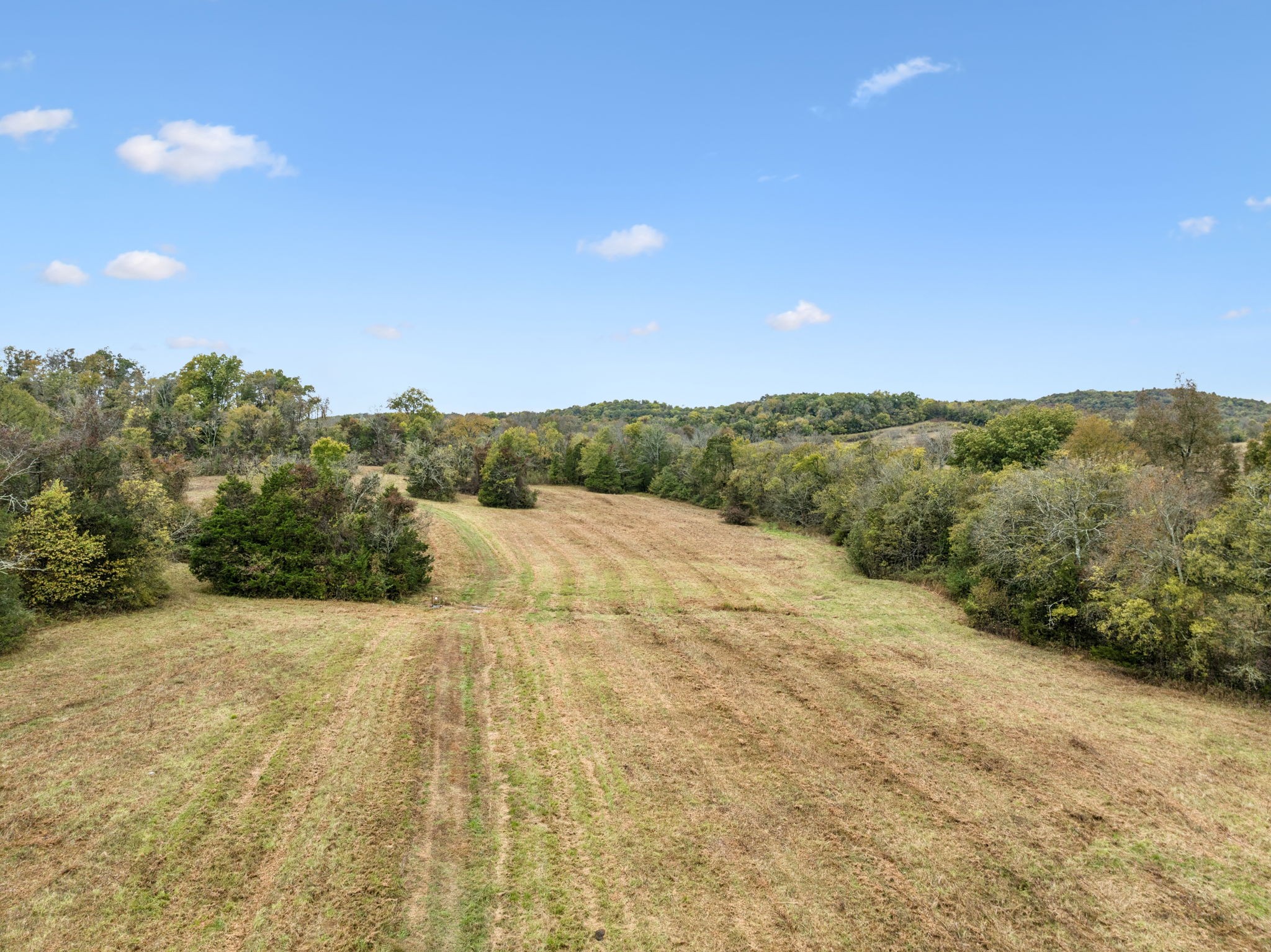 0 Coop Rd Property Photo 16