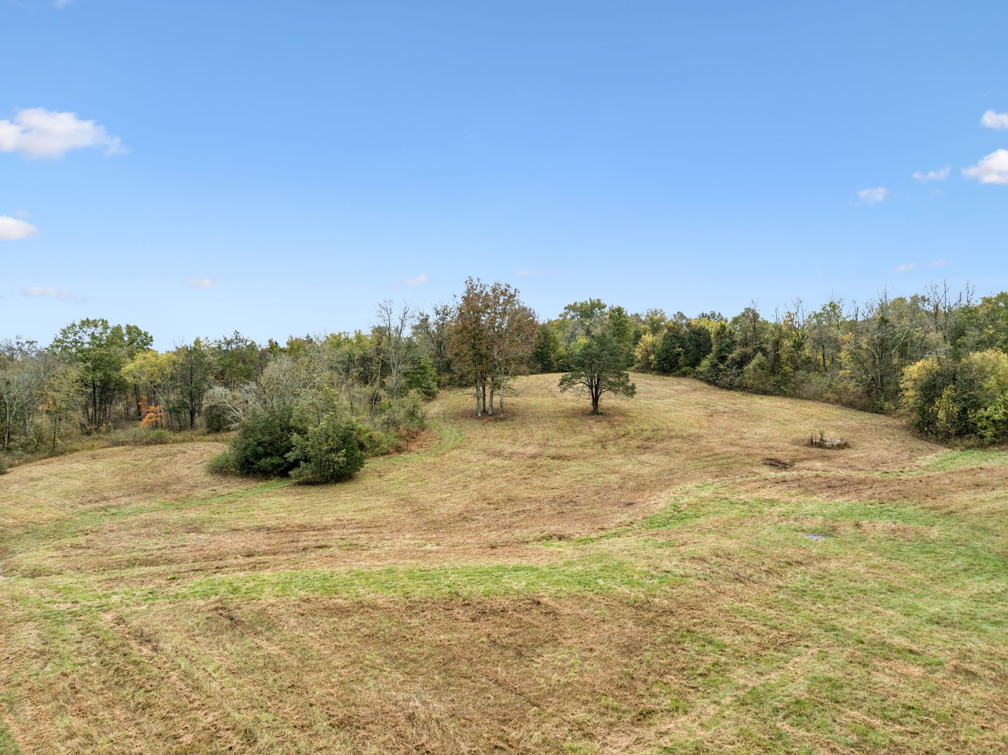 0 Coop Rd Property Photo 17