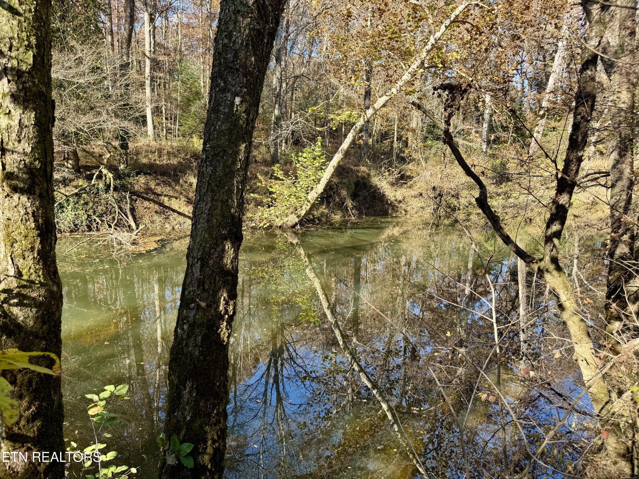 0 Daddy S Creek Trail Property Photo 26