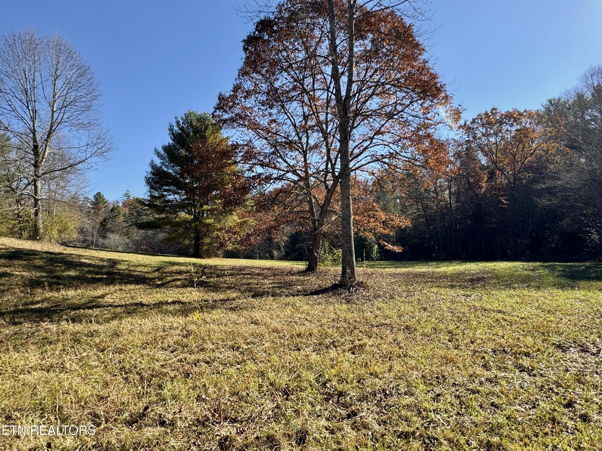 0 Daddy S Creek Trail Property Photo 43
