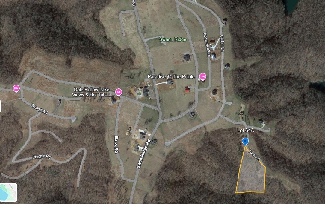 0 Turtle Lane Property Photo 3