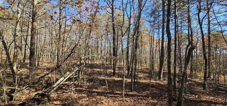 0 Woods Rd Property Photo 5