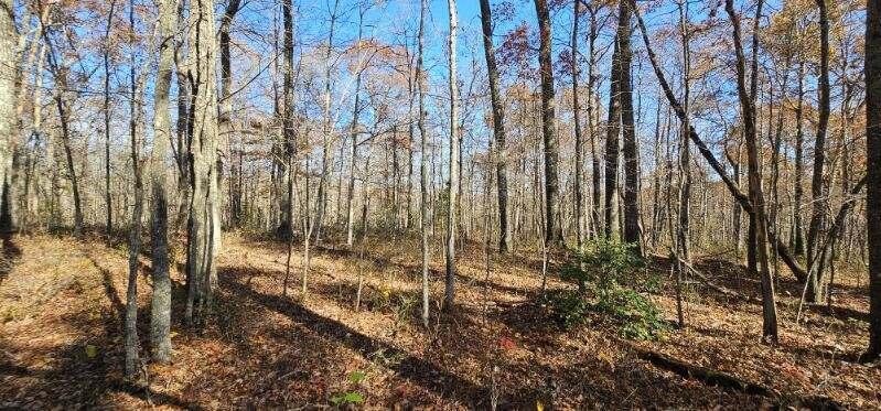 0 Woods Rd Property Photo 9