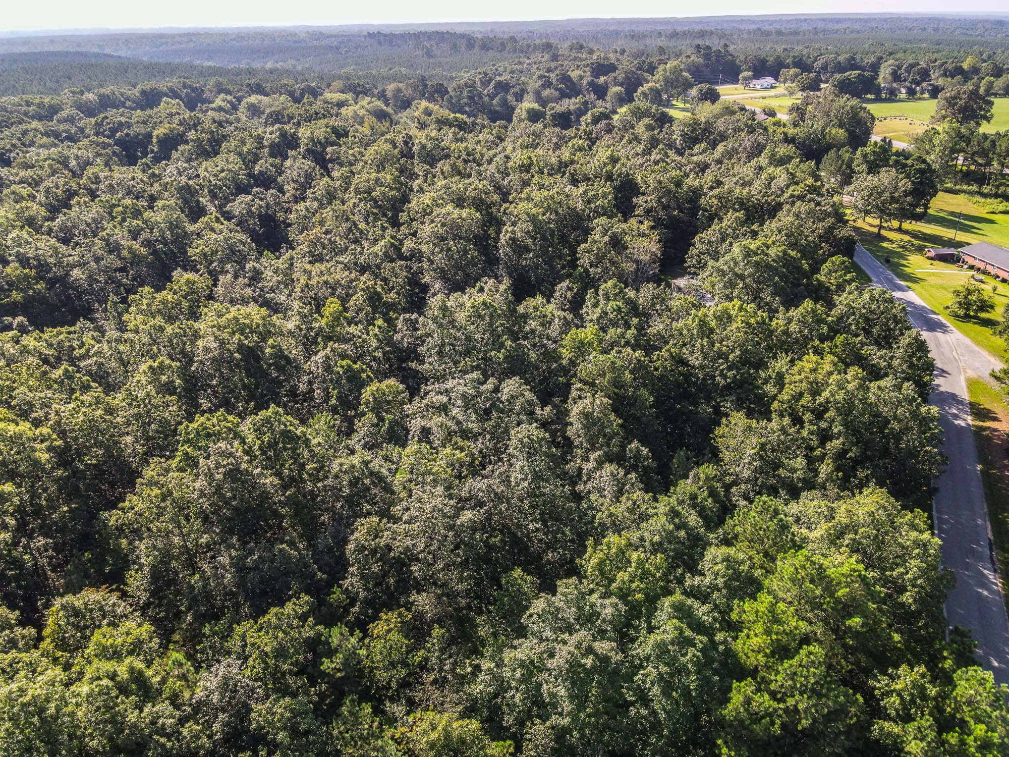 0 Brush Creek Rd Property Photo 6