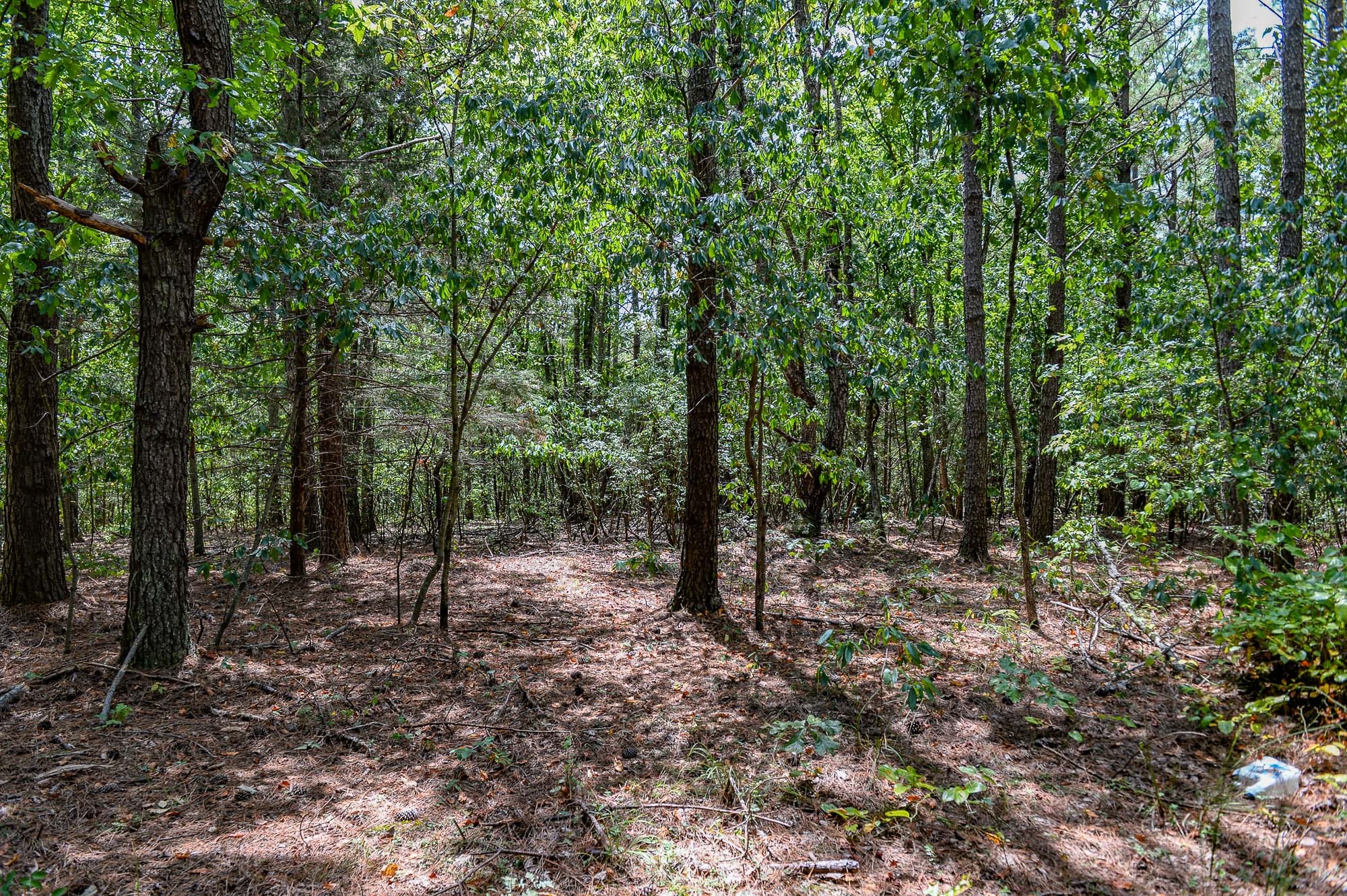 0 Brush Creek Rd Property Photo 9