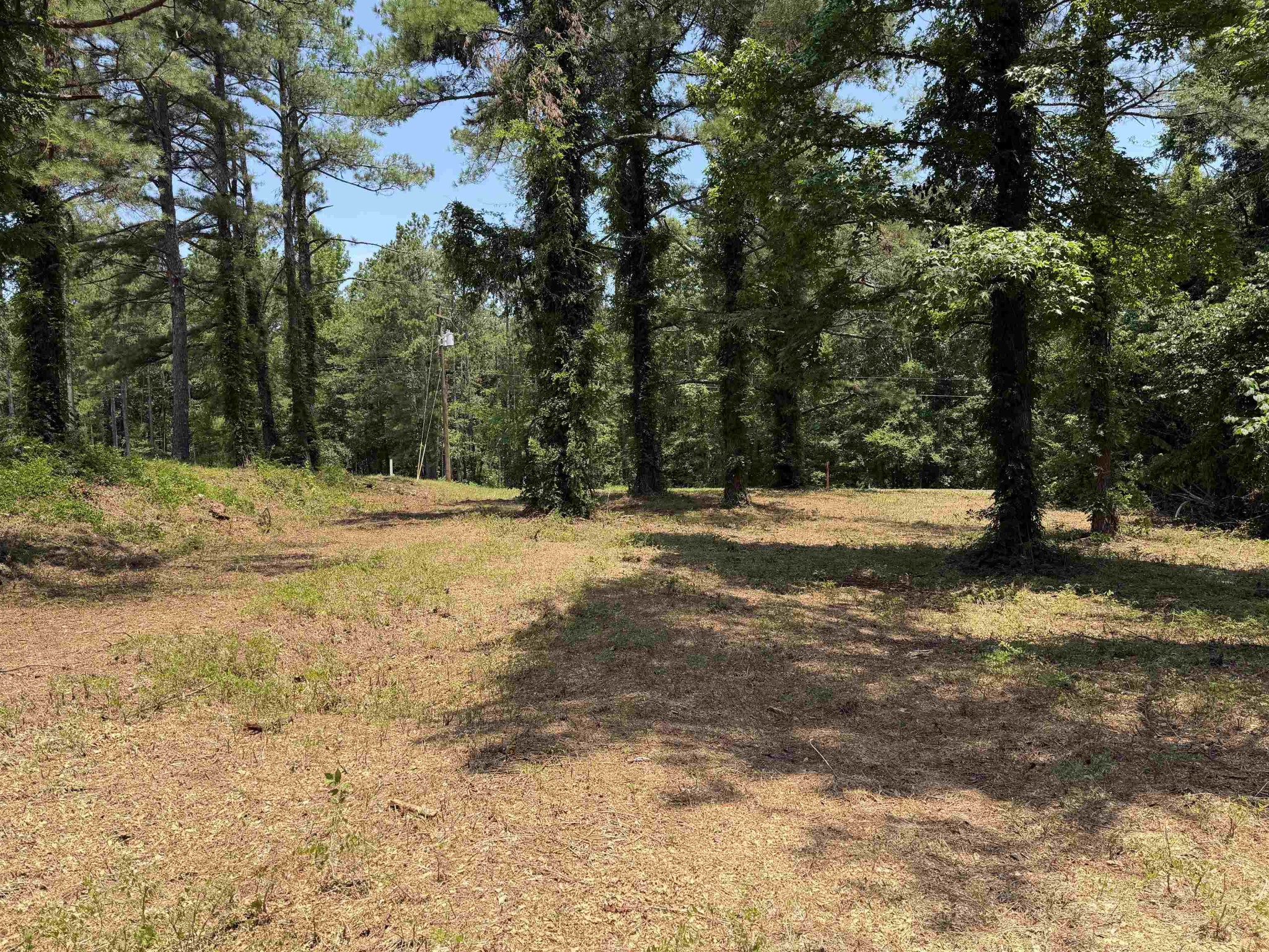 0 Hwy 57 Property Photo 1