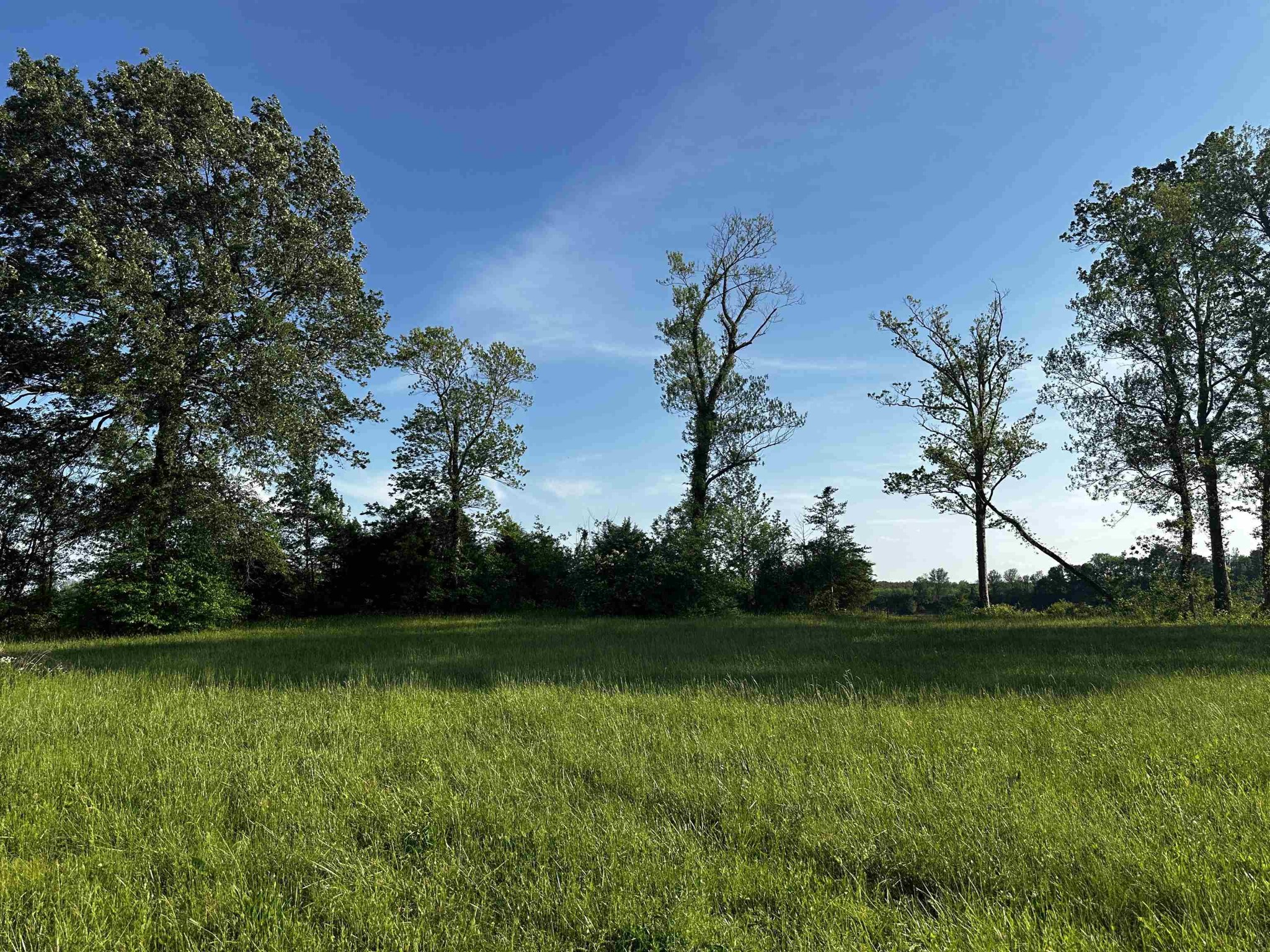 0 Catfish Ln Property Photo 1