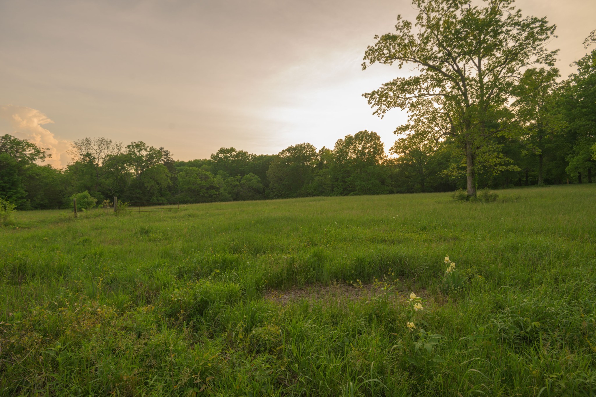 775 Railroad Rd Property Photo 1
