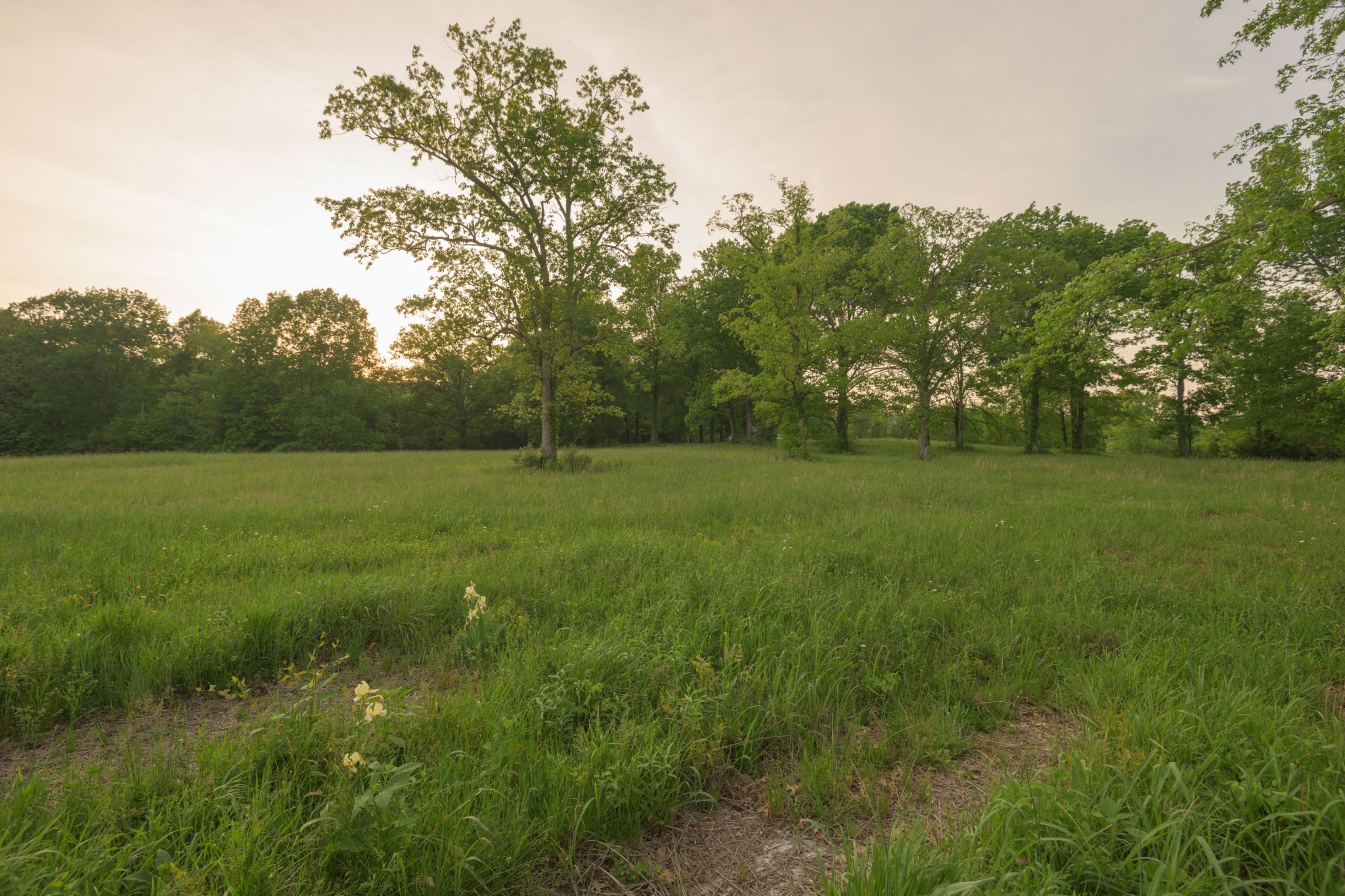 775 Railroad Rd Property Photo 5