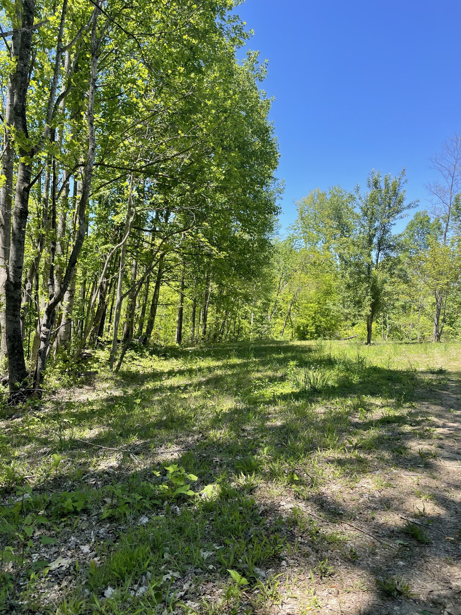 0 Highway 52 W Property Photo 1