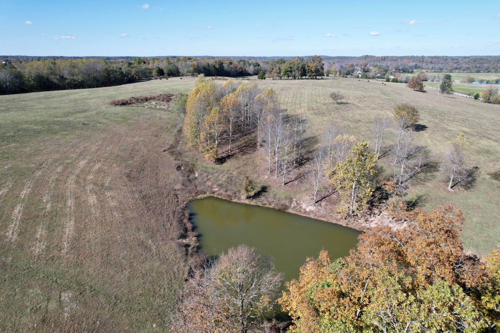 3 Henryville Rd Property Photo 2