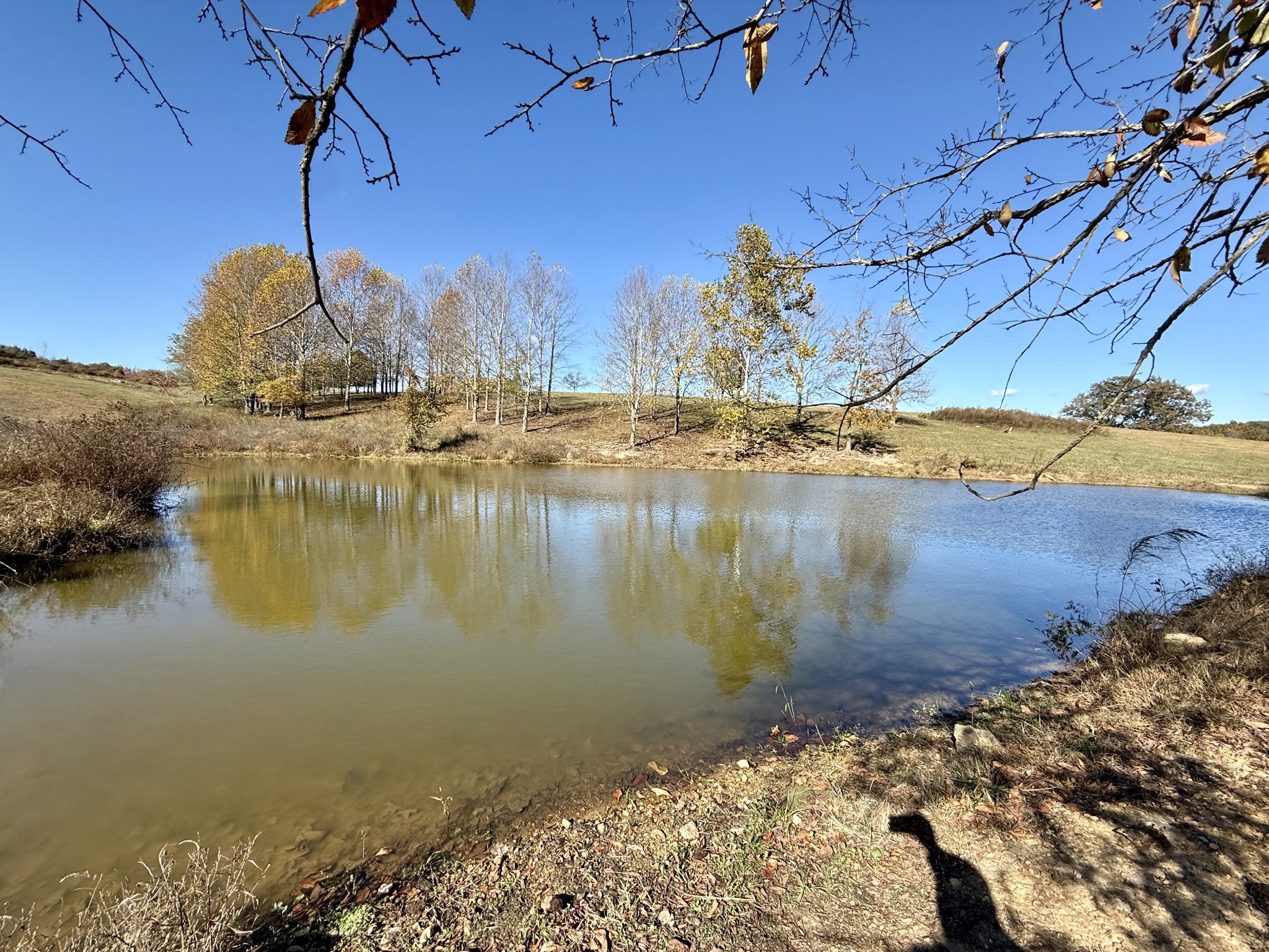 3 Henryville Rd Property Photo 14