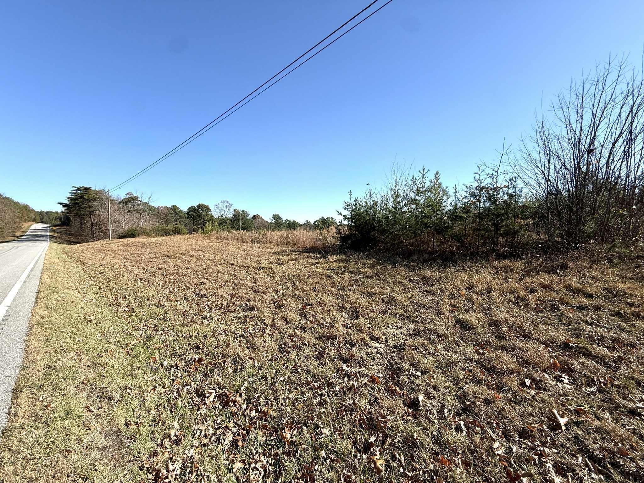 0 St Rt 399 Property Photo 3