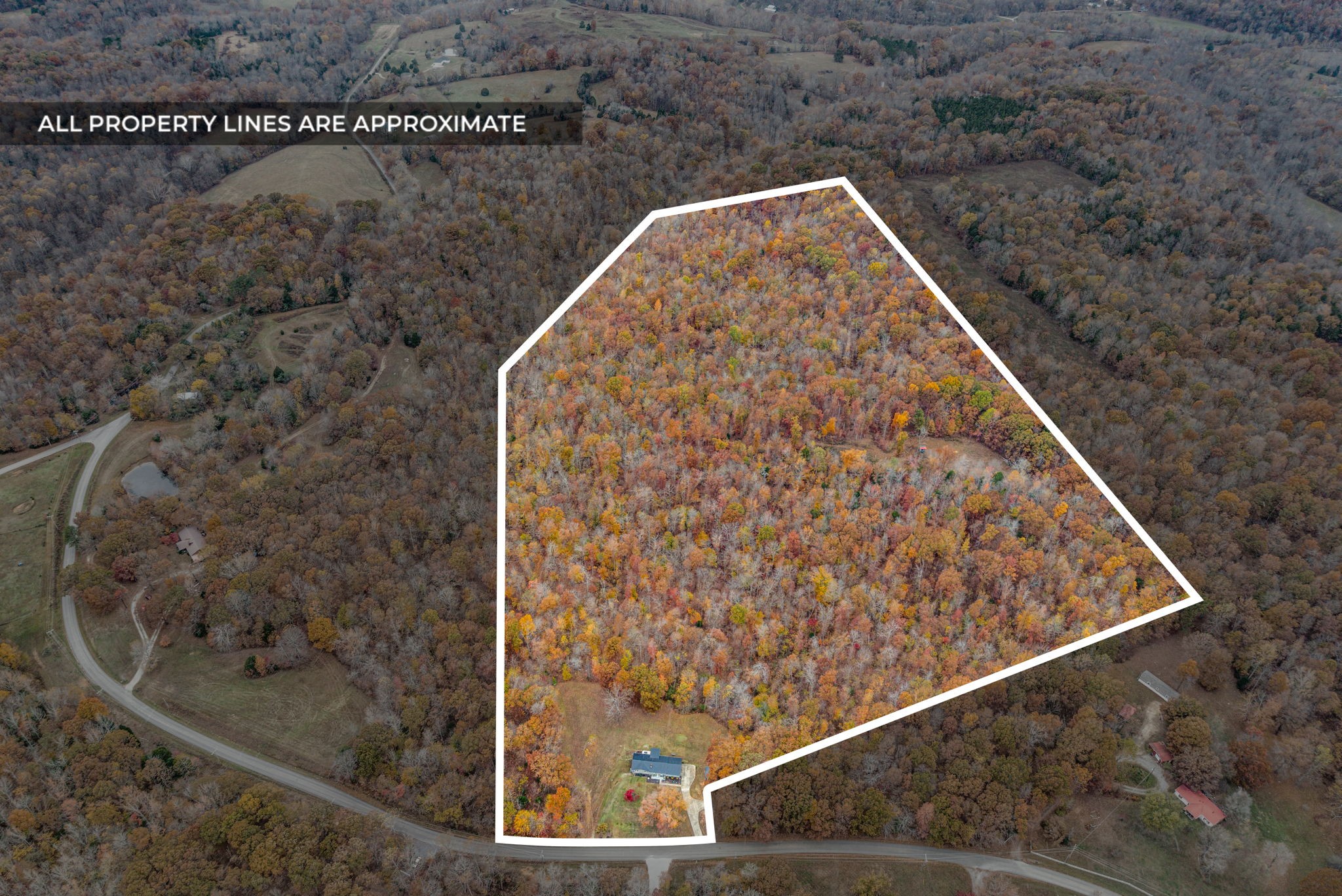 2126 Foster Rd Property Photo 2