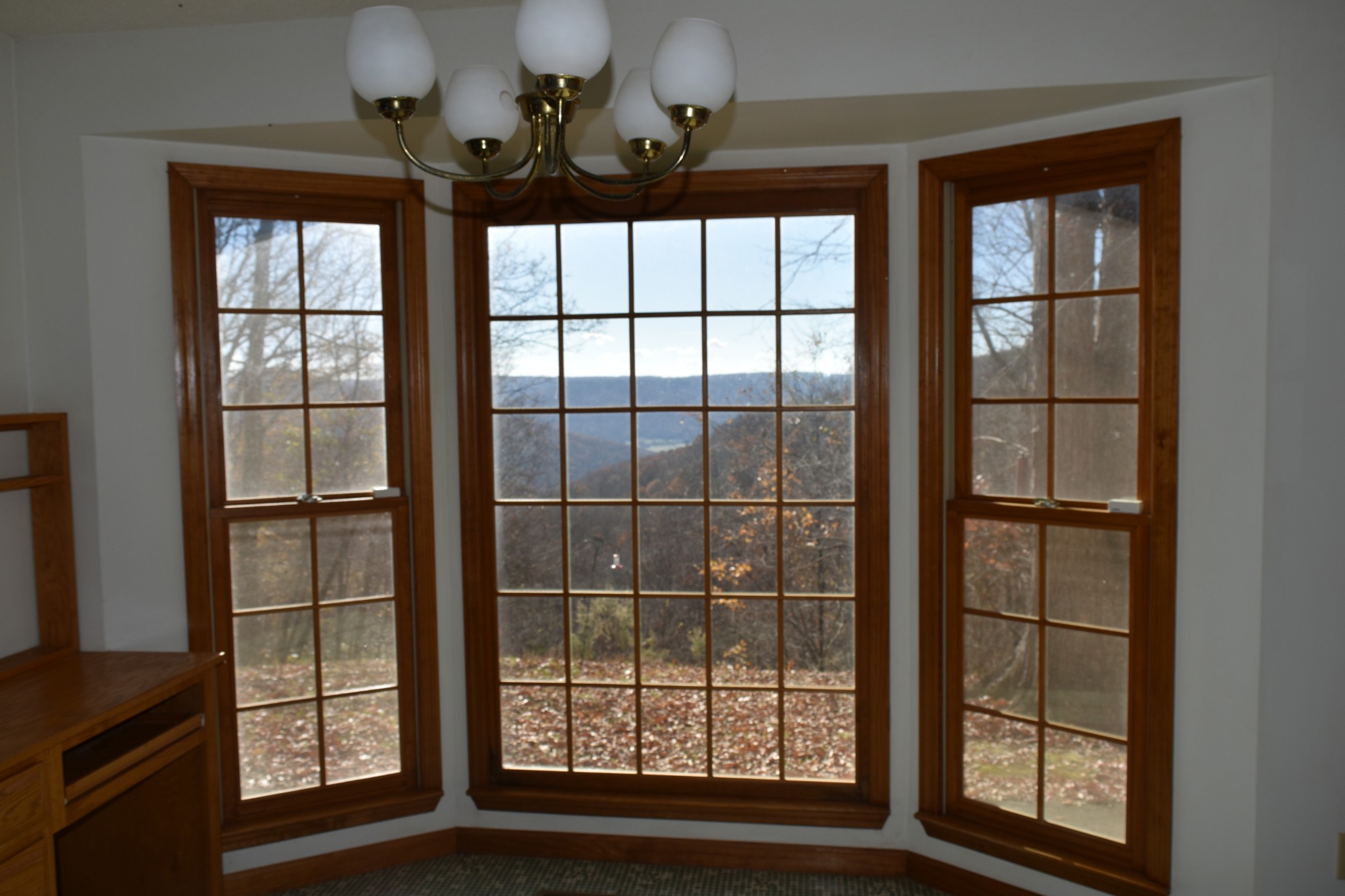 1454 Stage Coach Rd Property Photo 22