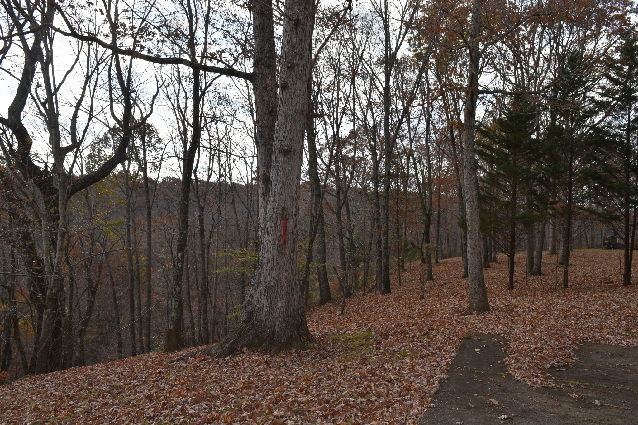1454 Stage Coach Rd Property Photo 62
