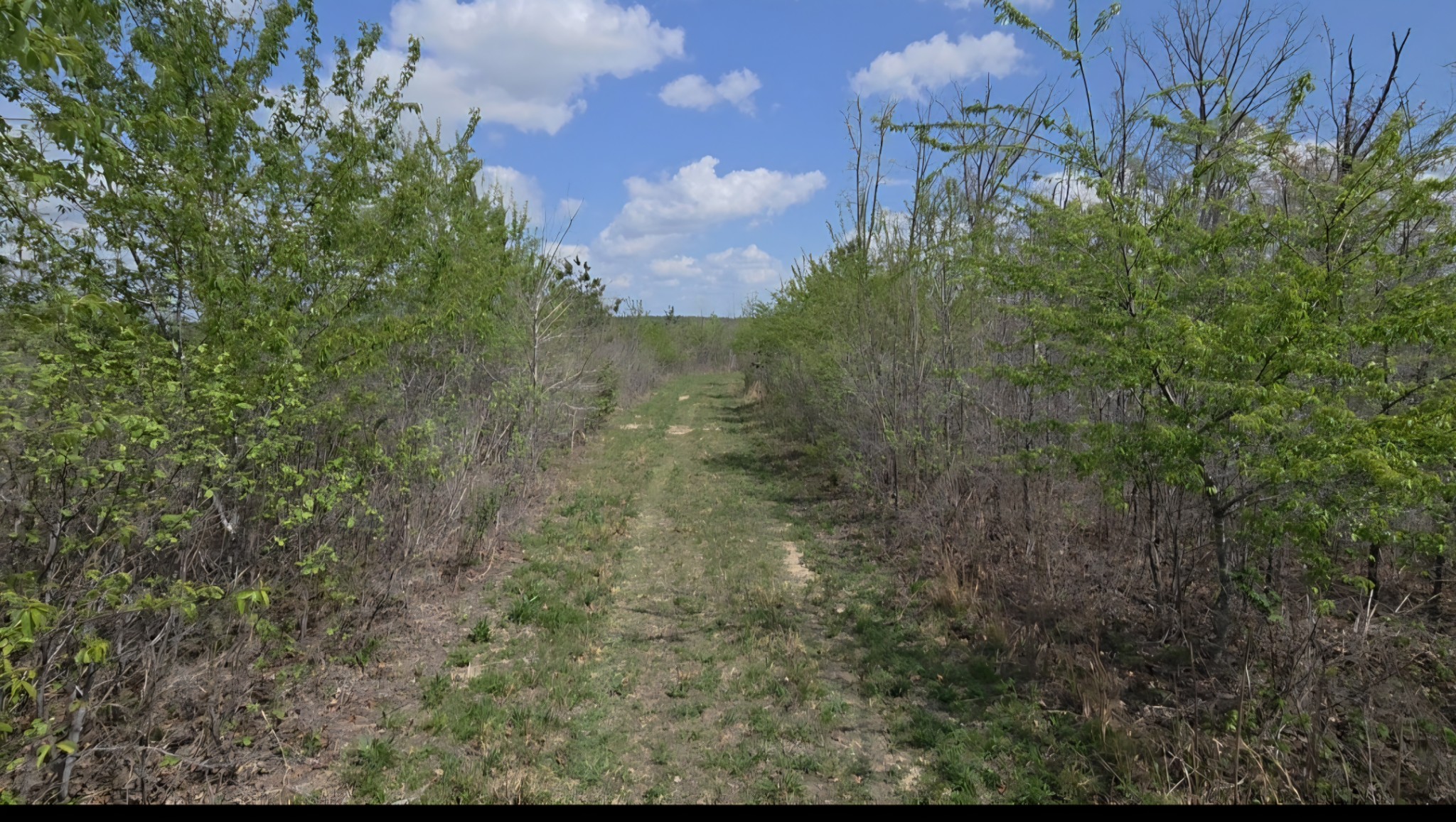 830 Twin Pines Overlook Property Photo 1