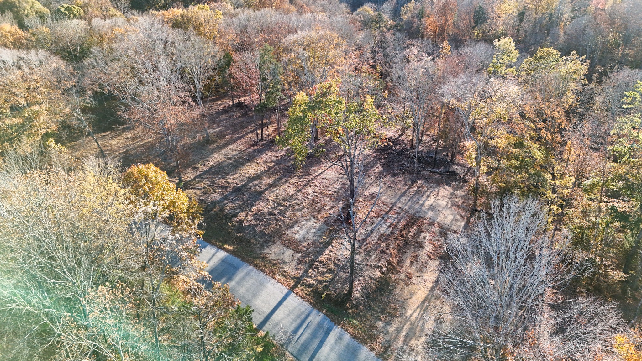 0 Chestnut Grove Rd Property Photo 1