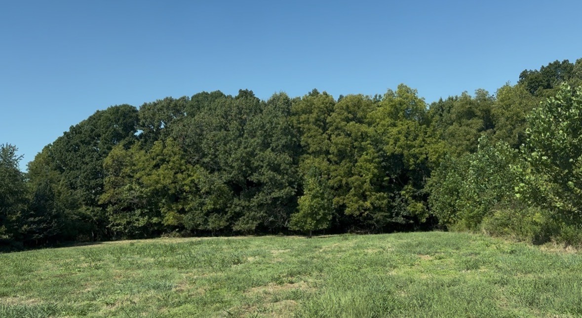 3941 Baggett Rd Property Photo 24