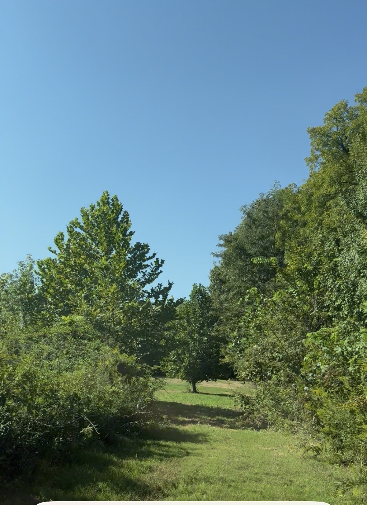 3941 Baggett Rd Property Photo 25