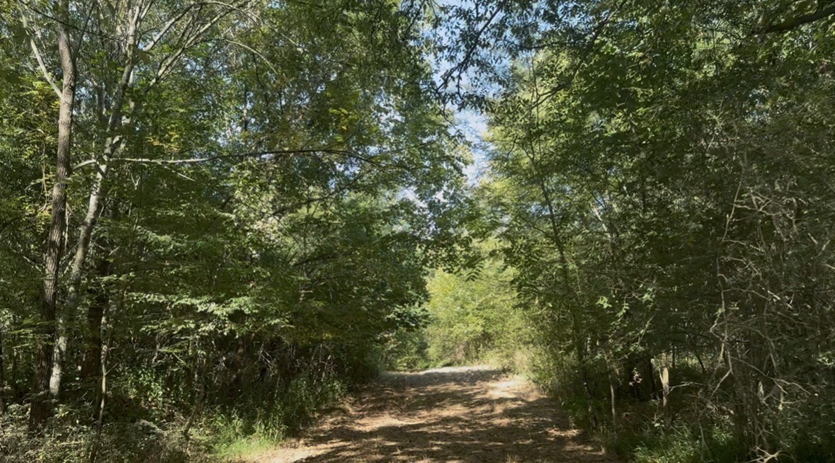 3941 Baggett Rd Property Photo 26