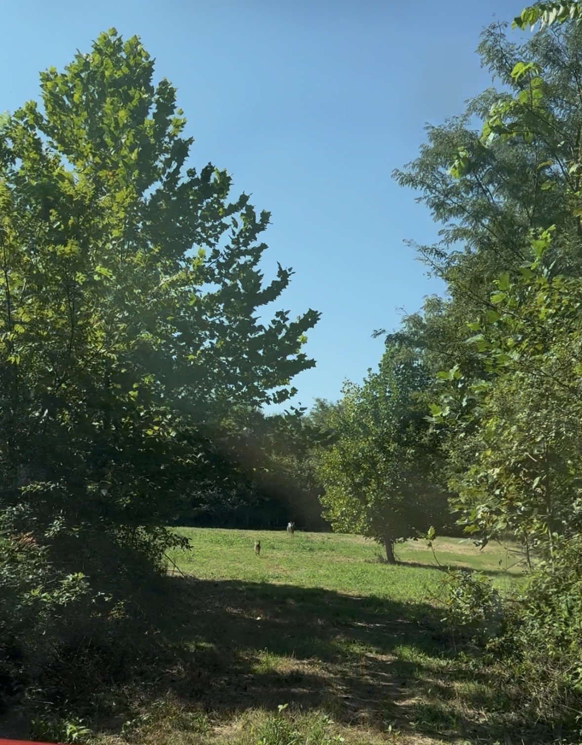 3941 Baggett Rd Property Photo 27